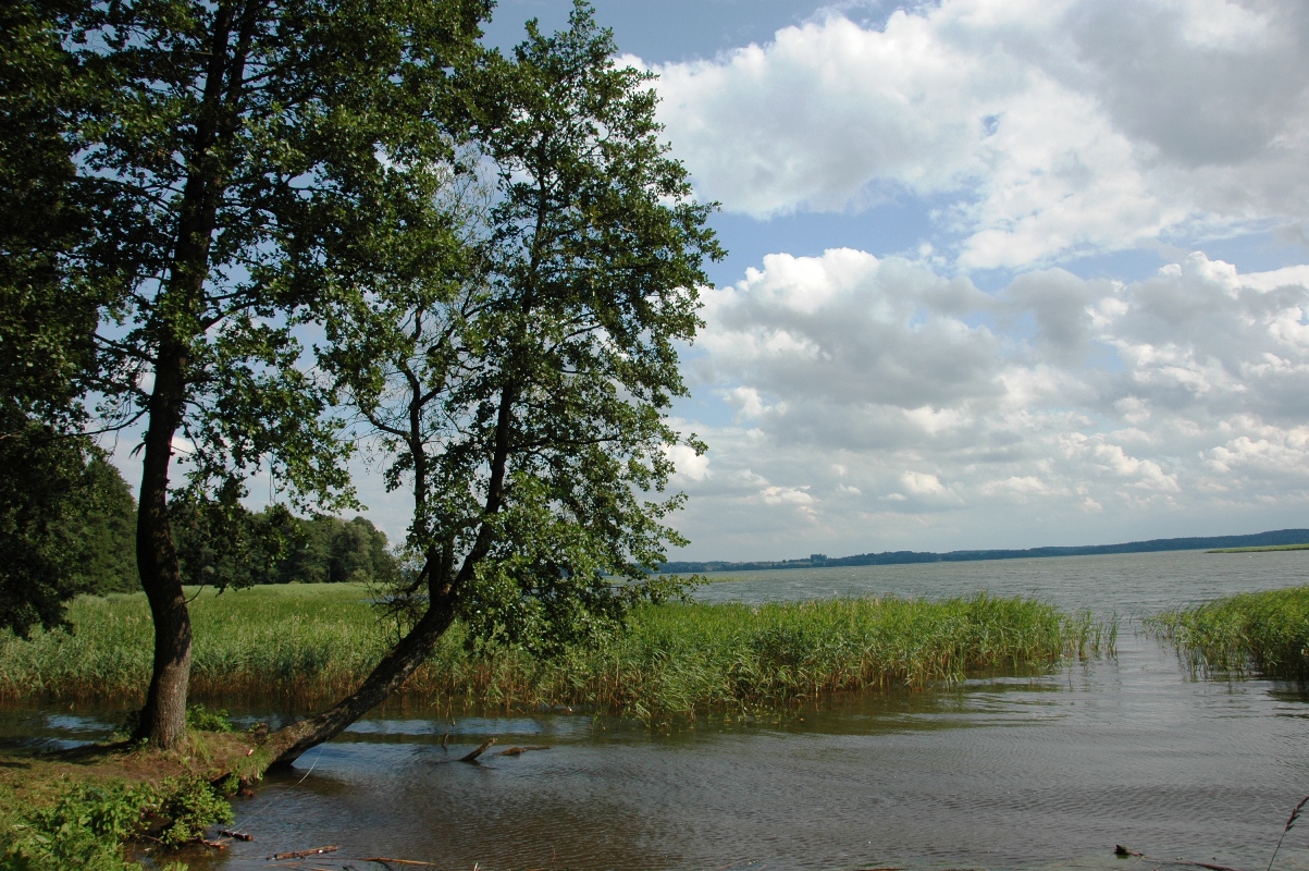 Mazury Cud Natury